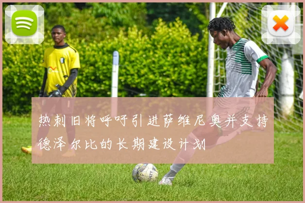 热刺旧将呼吁引进萨维尼奥并支持德泽尔比的长期建设计划